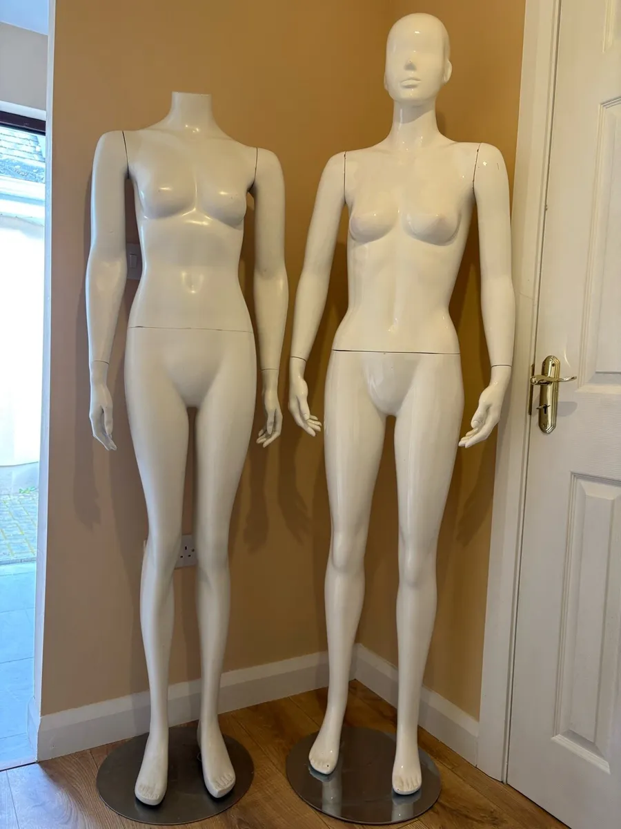 Shop Rails, Manikins, Hangers - Image 2
