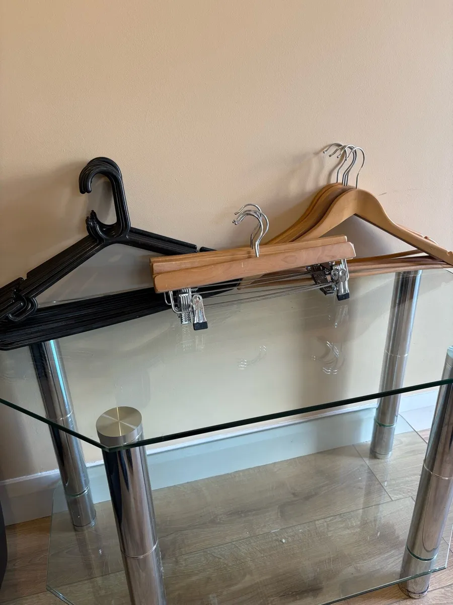 Shop Rails, Manikins, Hangers - Image 3