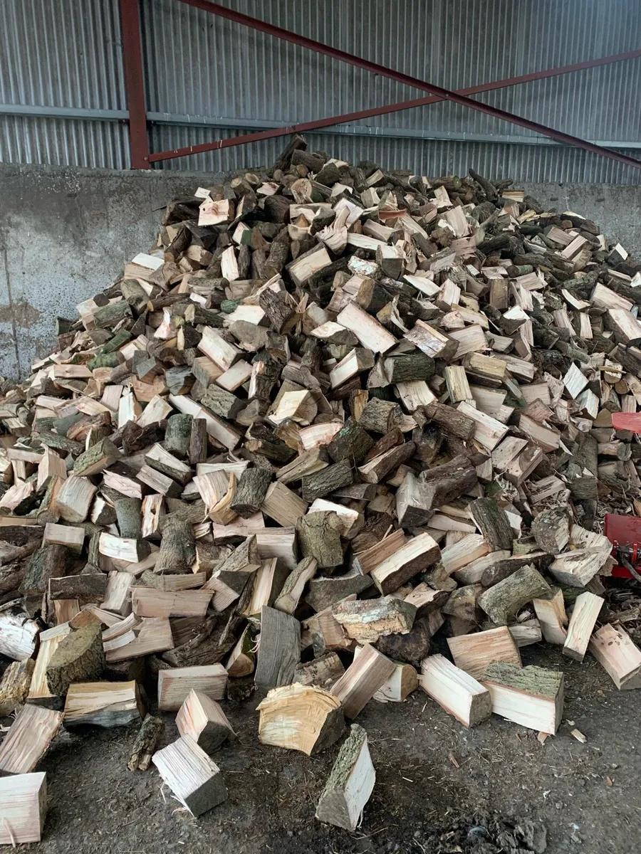 Firewood - Image 3