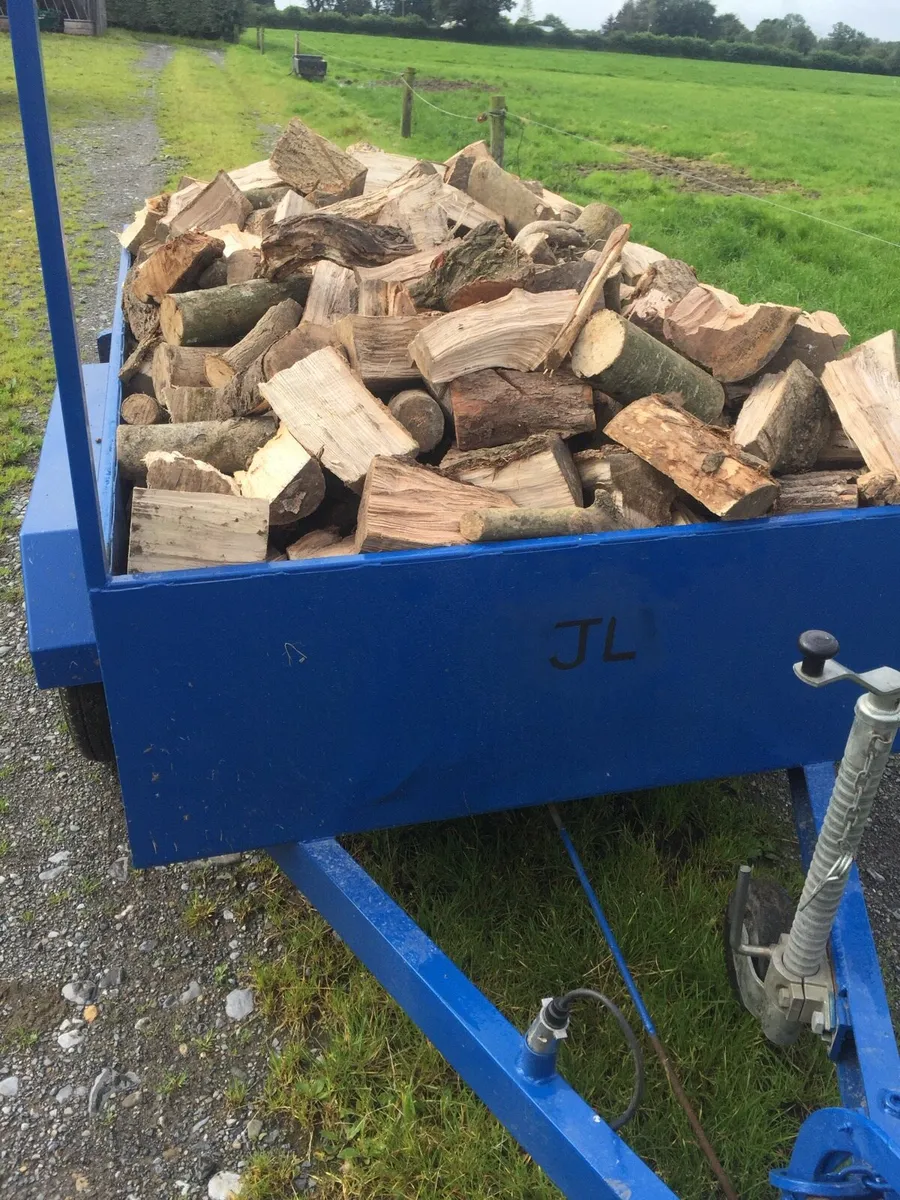 Firewood - Image 4