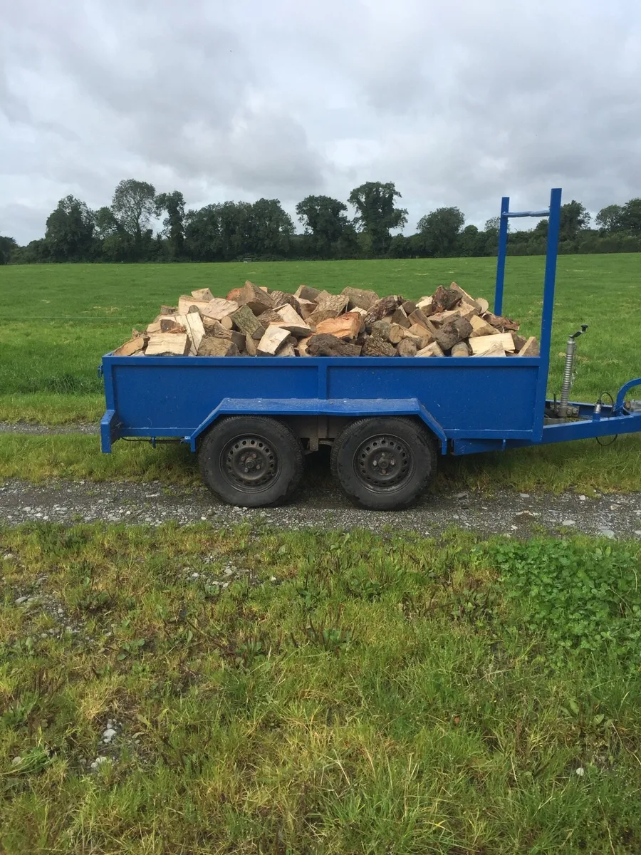 Firewood - Image 2