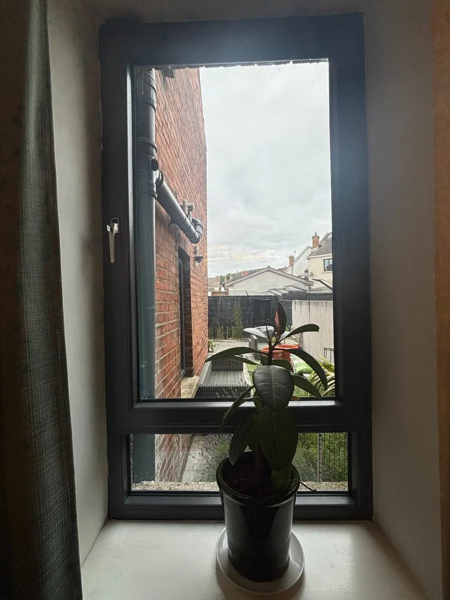 Munster joinery grey window 180cm high x 97cm wide - Image 2