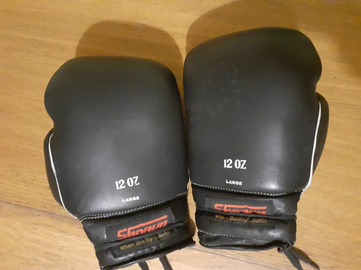 Boxing Gloves - Image 1
