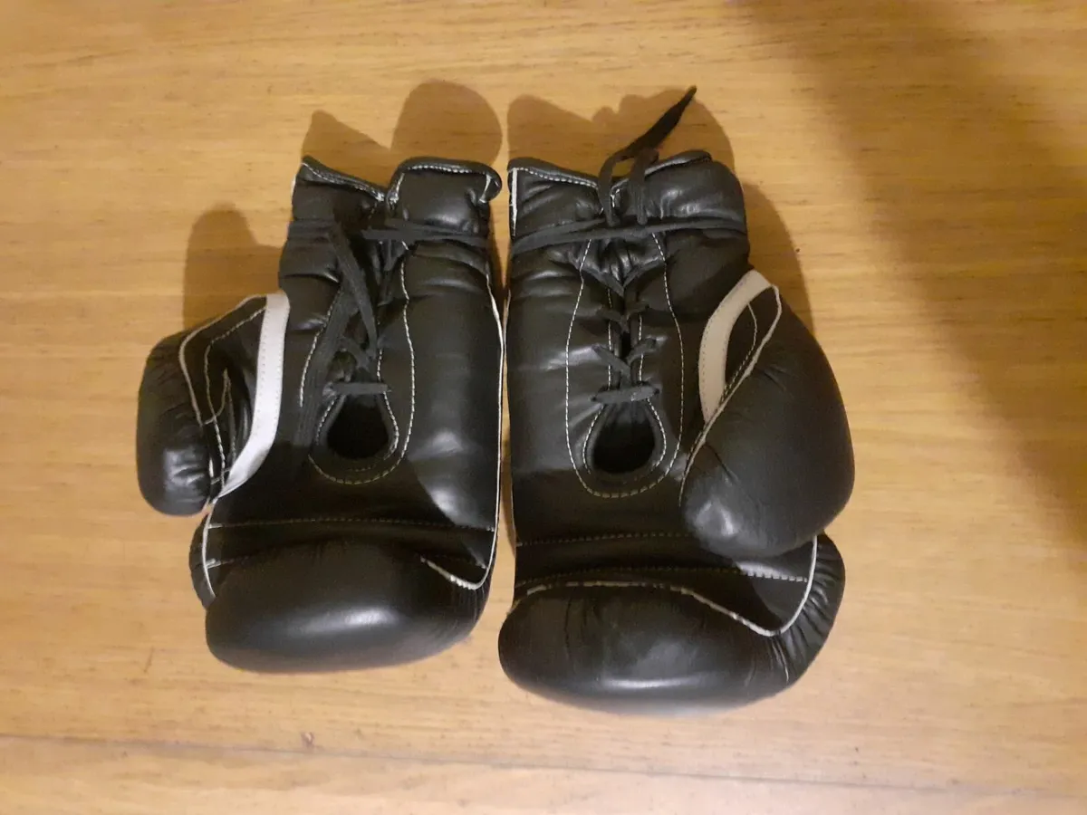 Boxing Gloves - Image 2