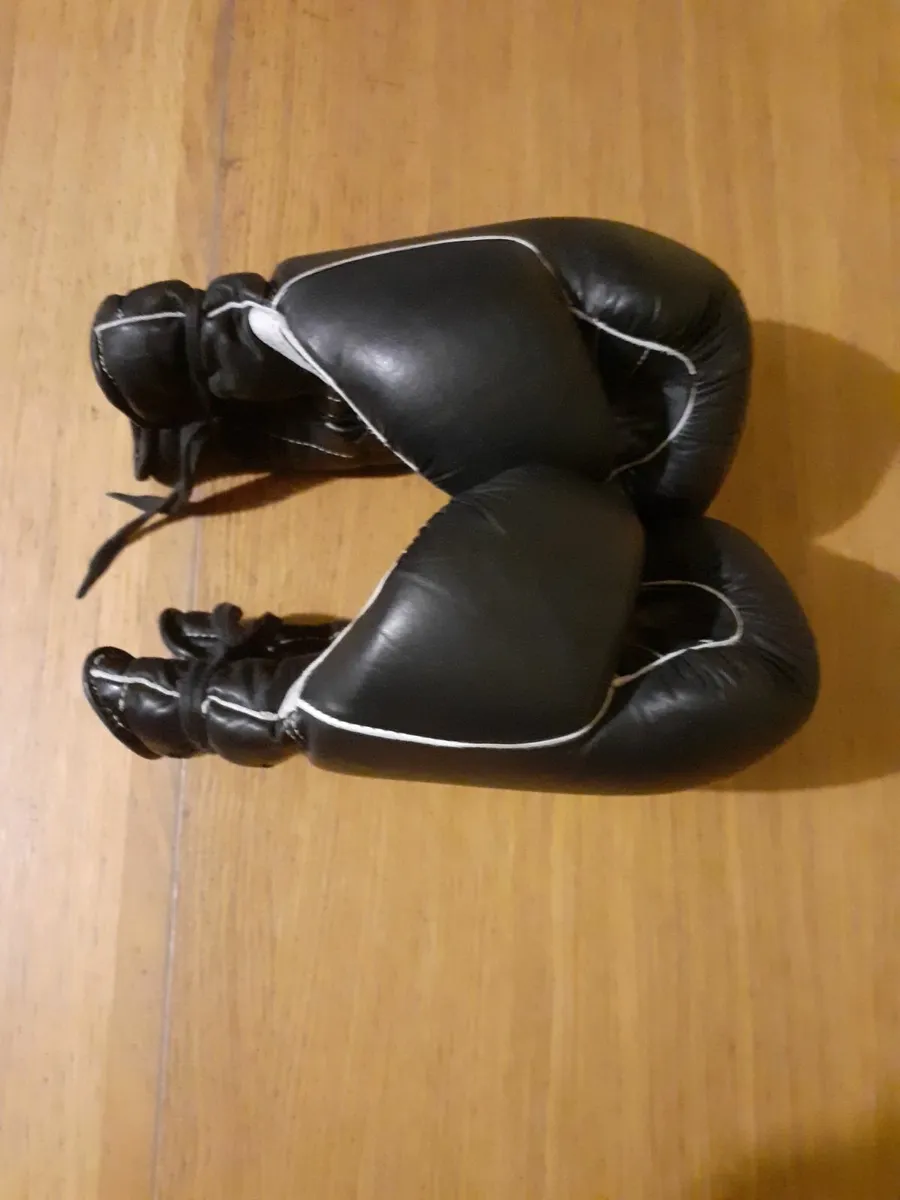 Boxing Gloves - Image 3