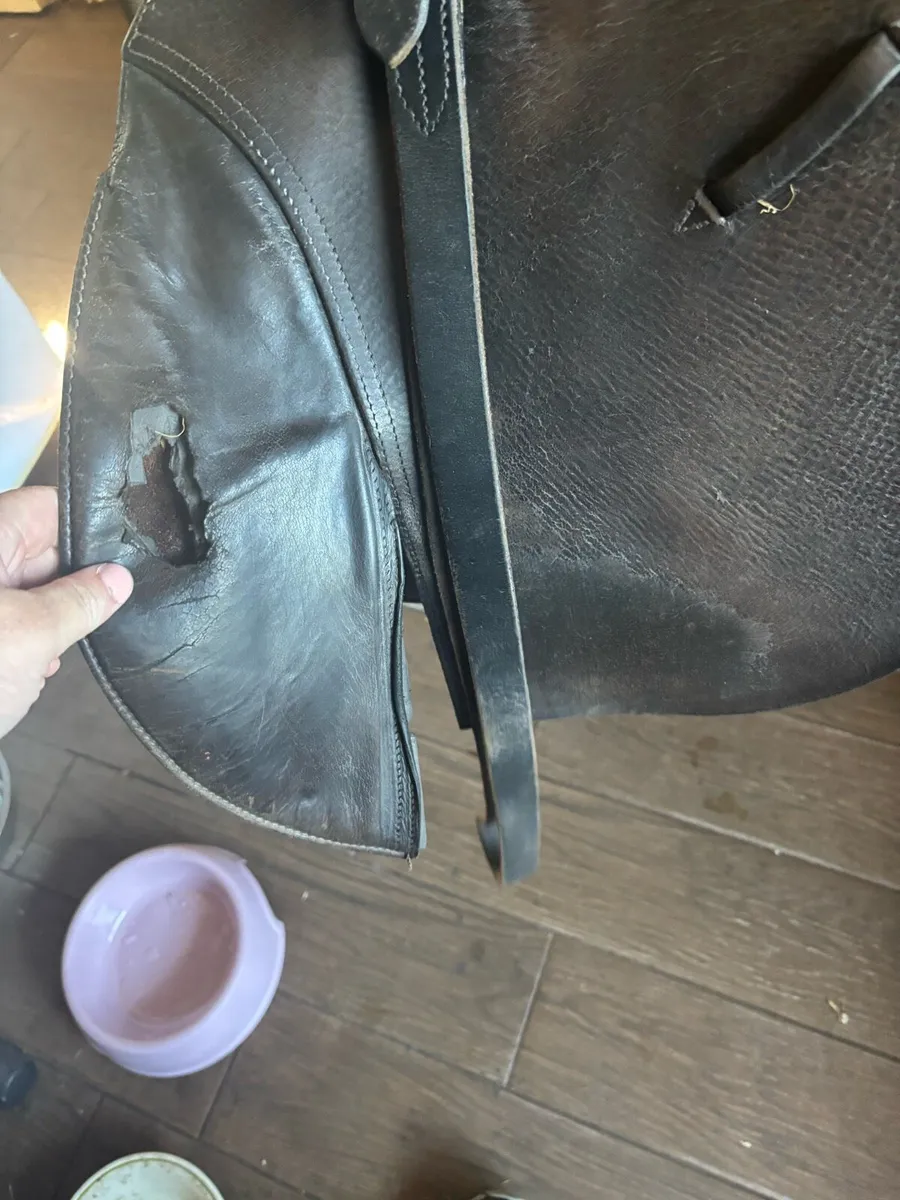 17 saddle - Image 4