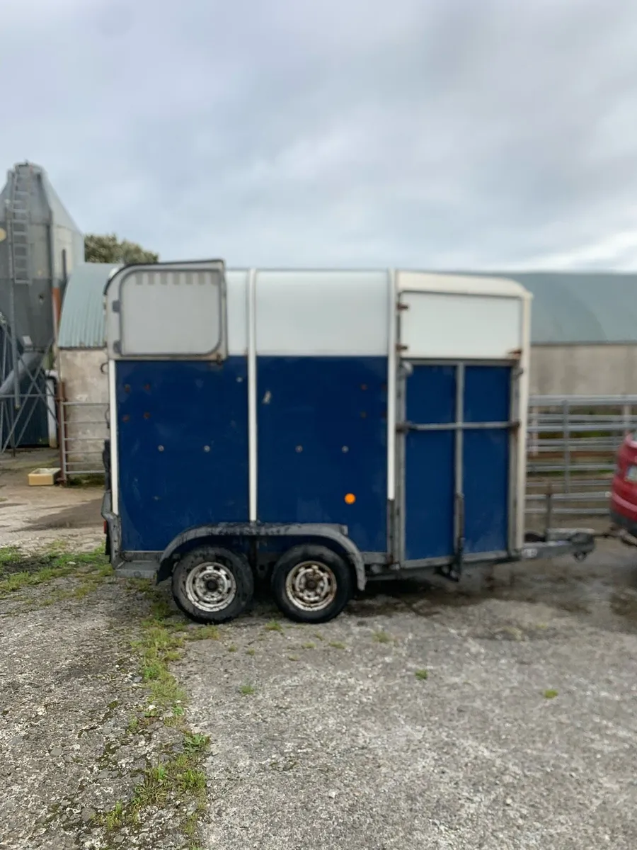 Horse box - Image 4