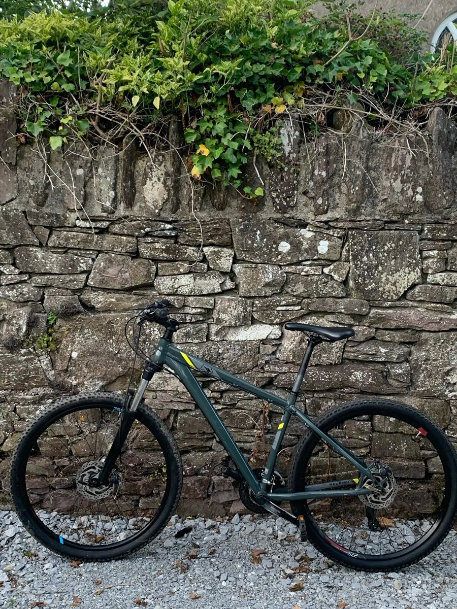 Mountain bike - Image 1