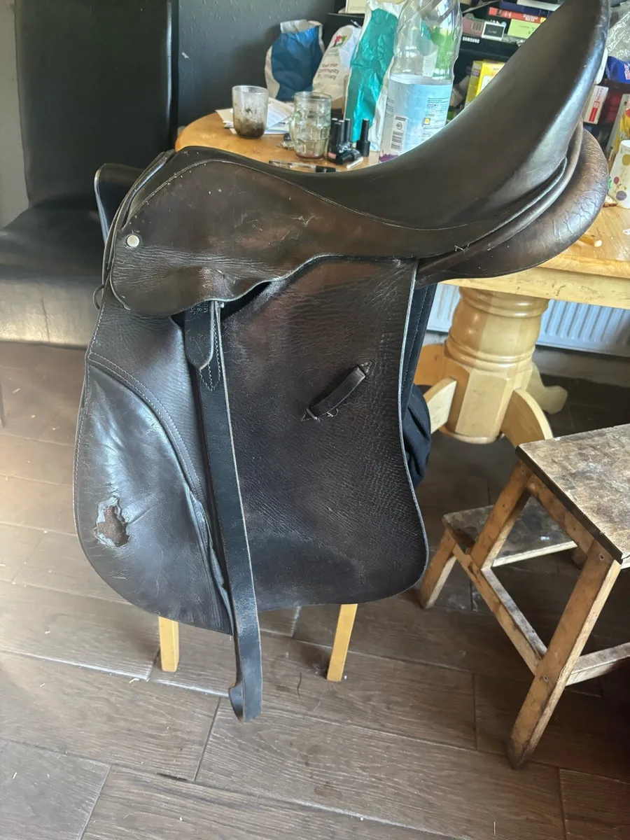 17 saddle - Image 1