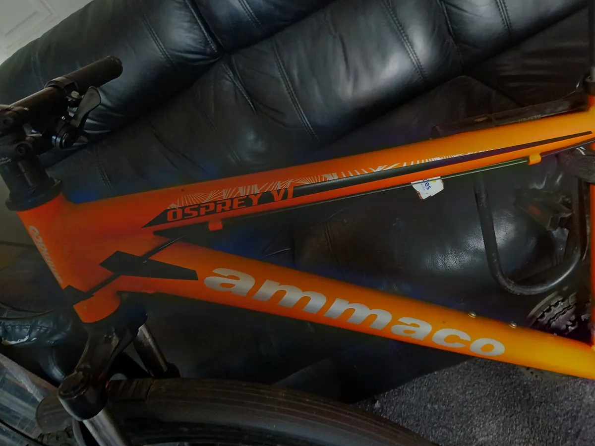 bike - Image 2