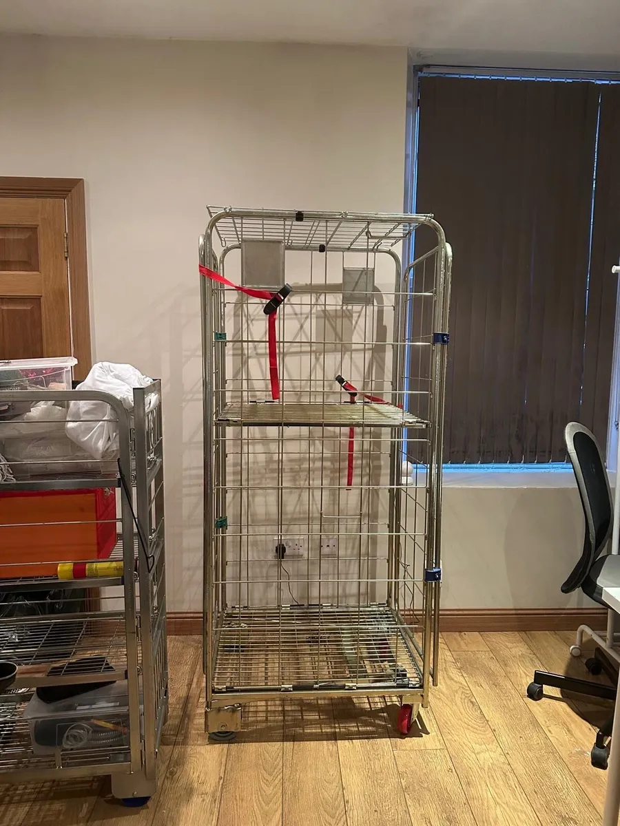 Roll cage - Image 1