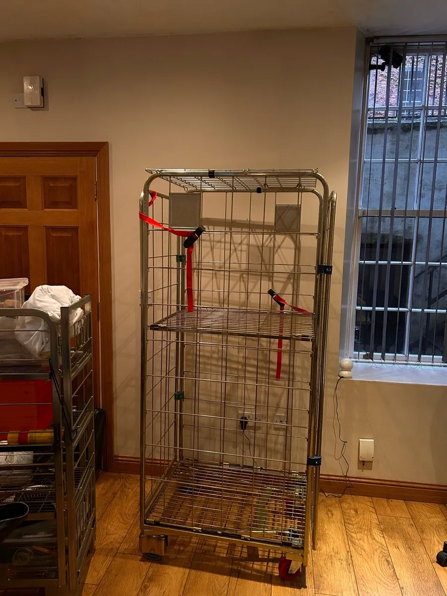 Roll cage - Image 2