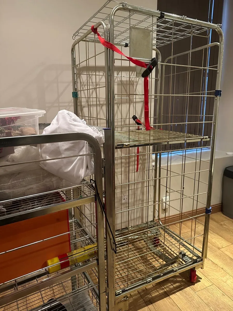 Roll cage - Image 3