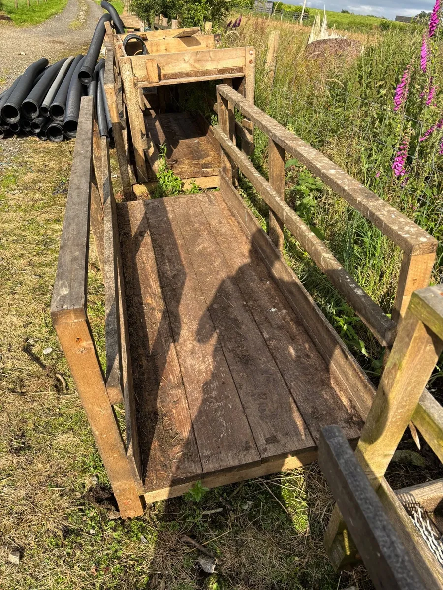 Mesh Sheep Slats + wooden walkthrough feeders - Image 3
