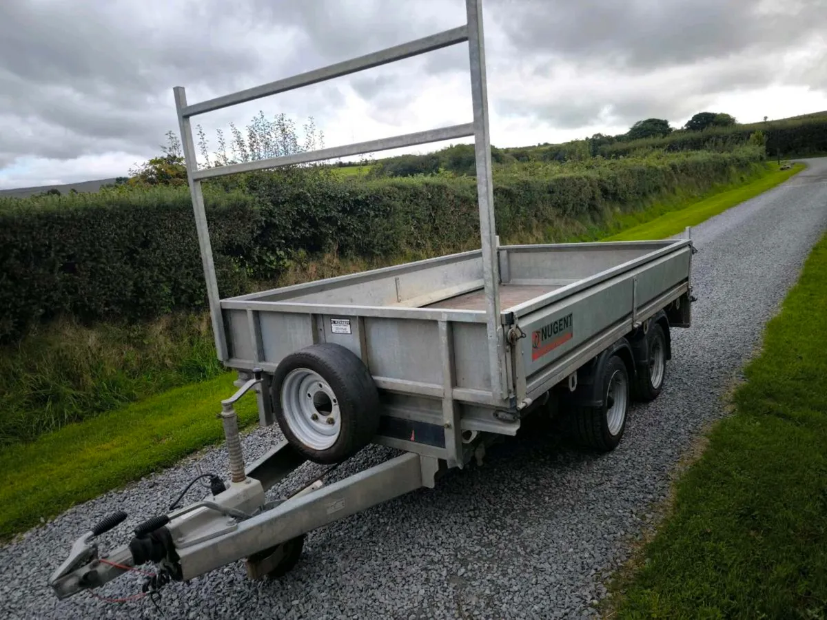 Nugent 10 x 5'6 dropside flatbed trailer - Image 3