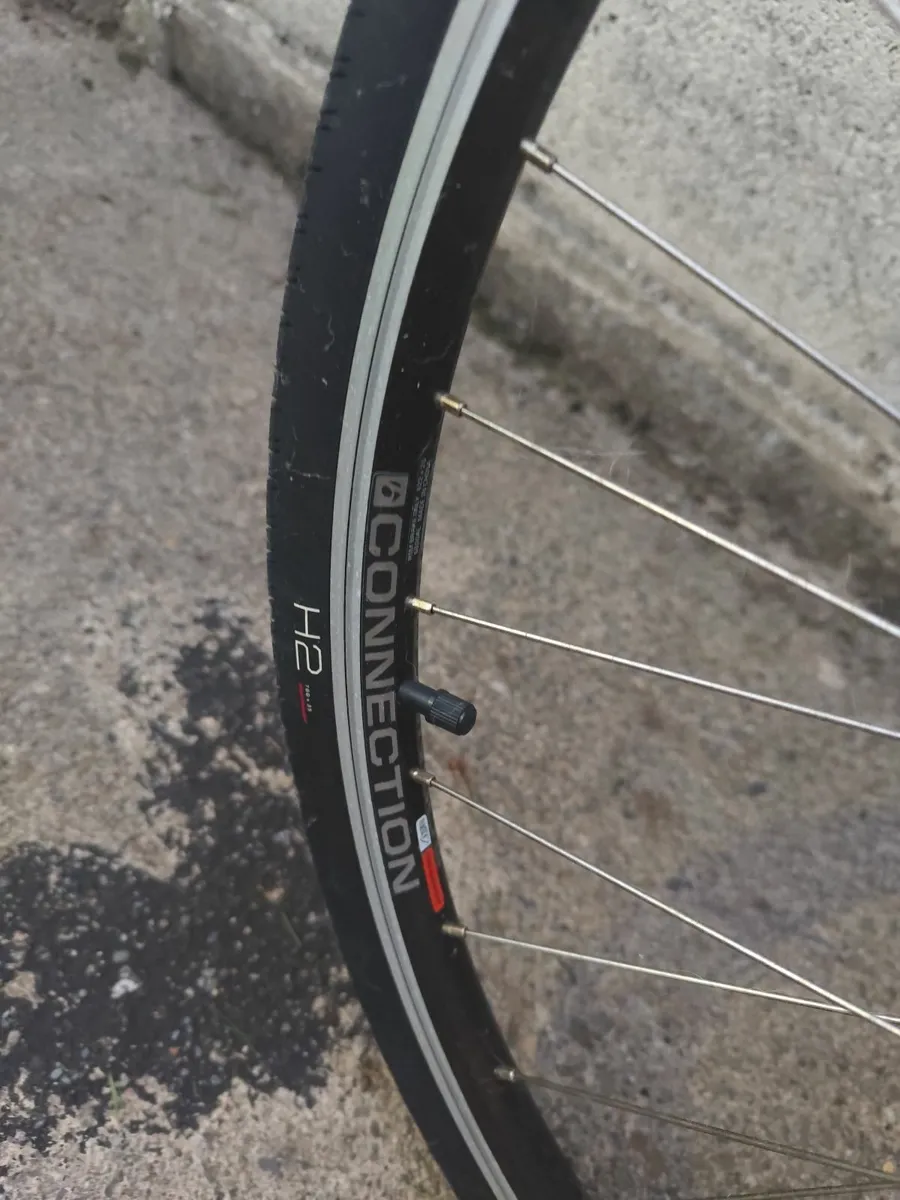 Bike - Image 3
