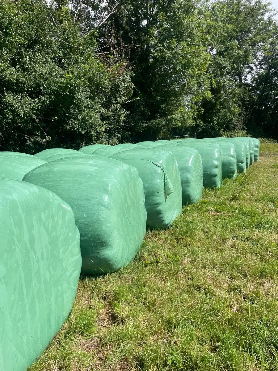 Haylage