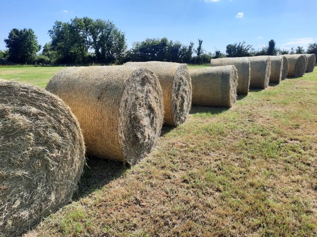 Round Hay Bales - Image 1