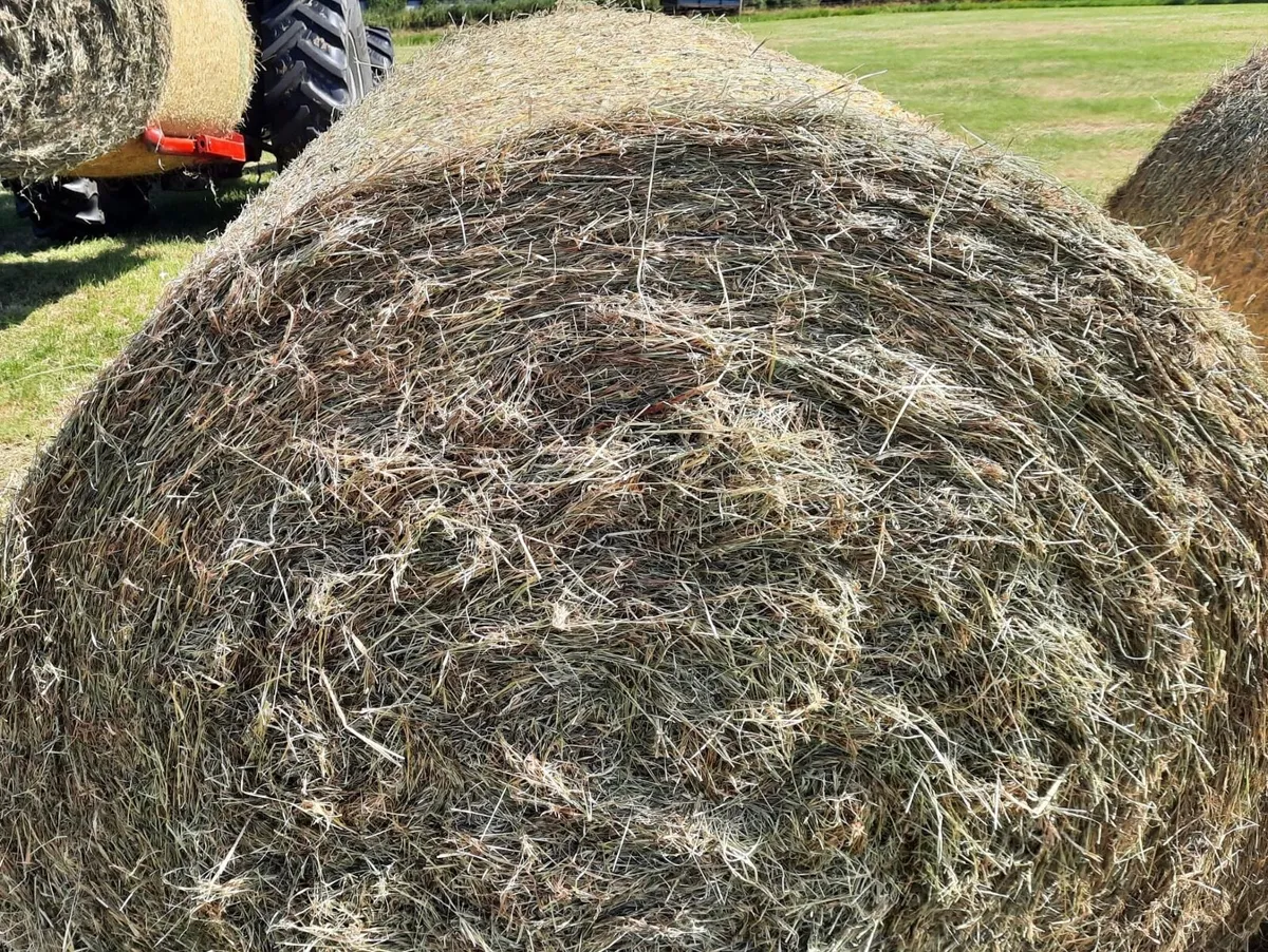 Round Hay Bales - Image 2