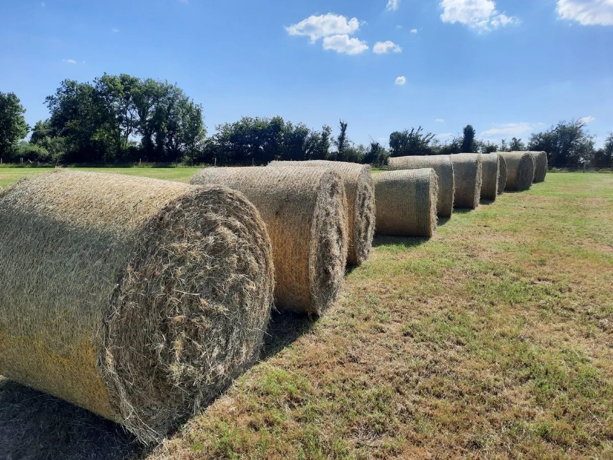 Round Hay Bales - Image 3