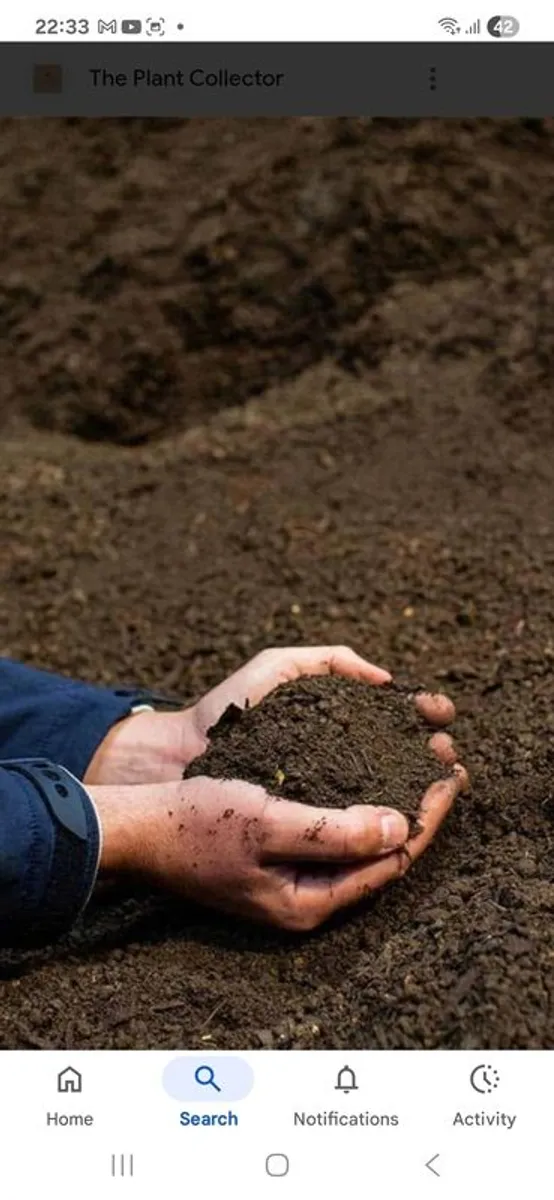 Topsoil - Image 2
