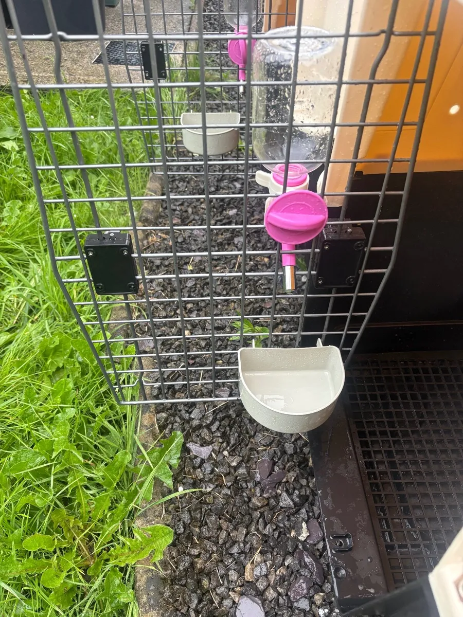 Professional Animal Boxes x 2 (Large) - Image 4