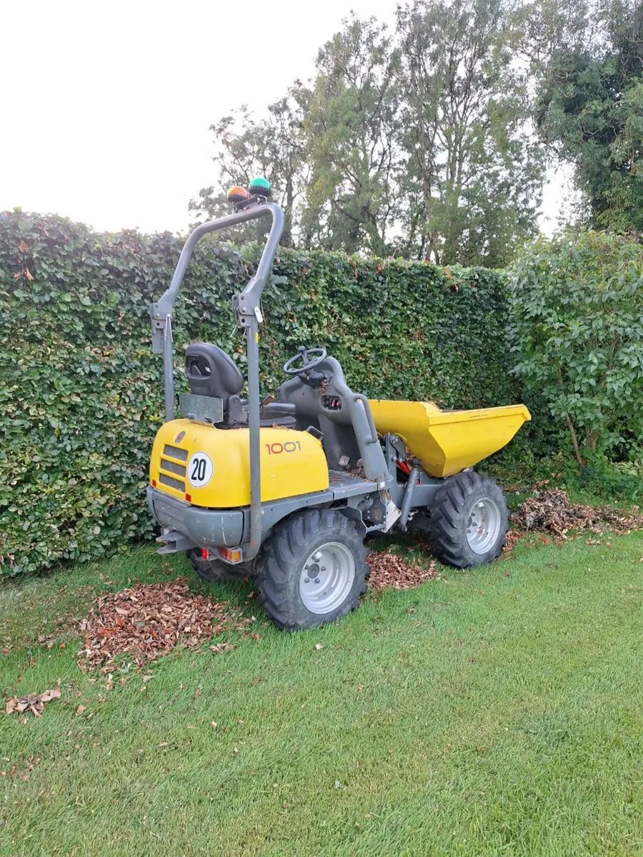 Wacker Neuson Mini Dumper - Image 1