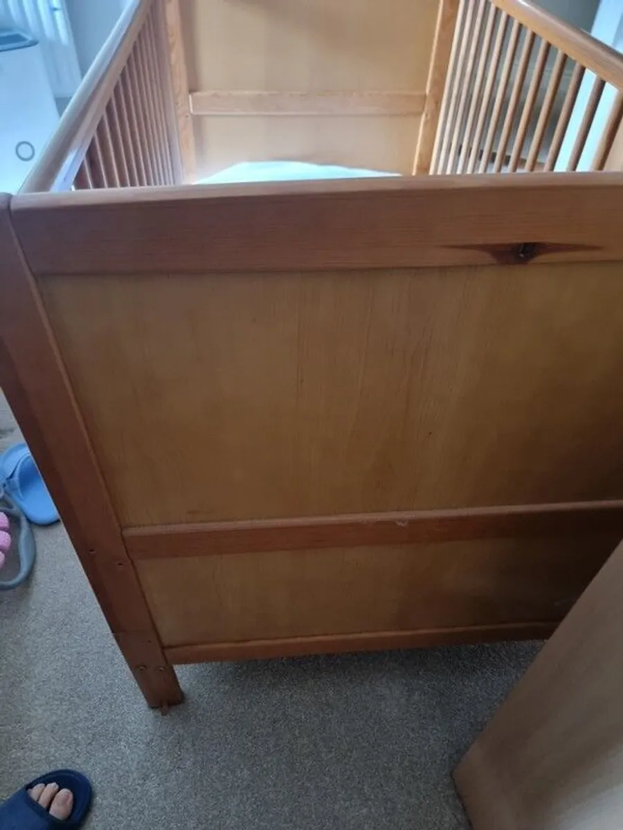 cot - Image 3