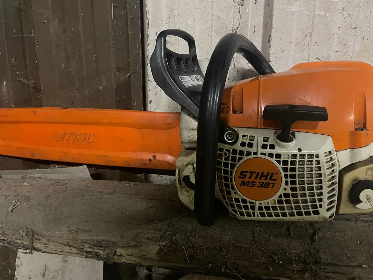 Chainsaw - Image 4