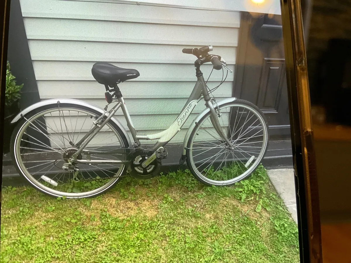 Ladies Bike