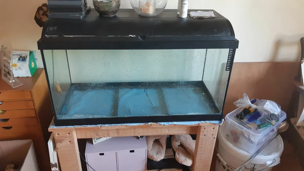 fish tank - Image 1