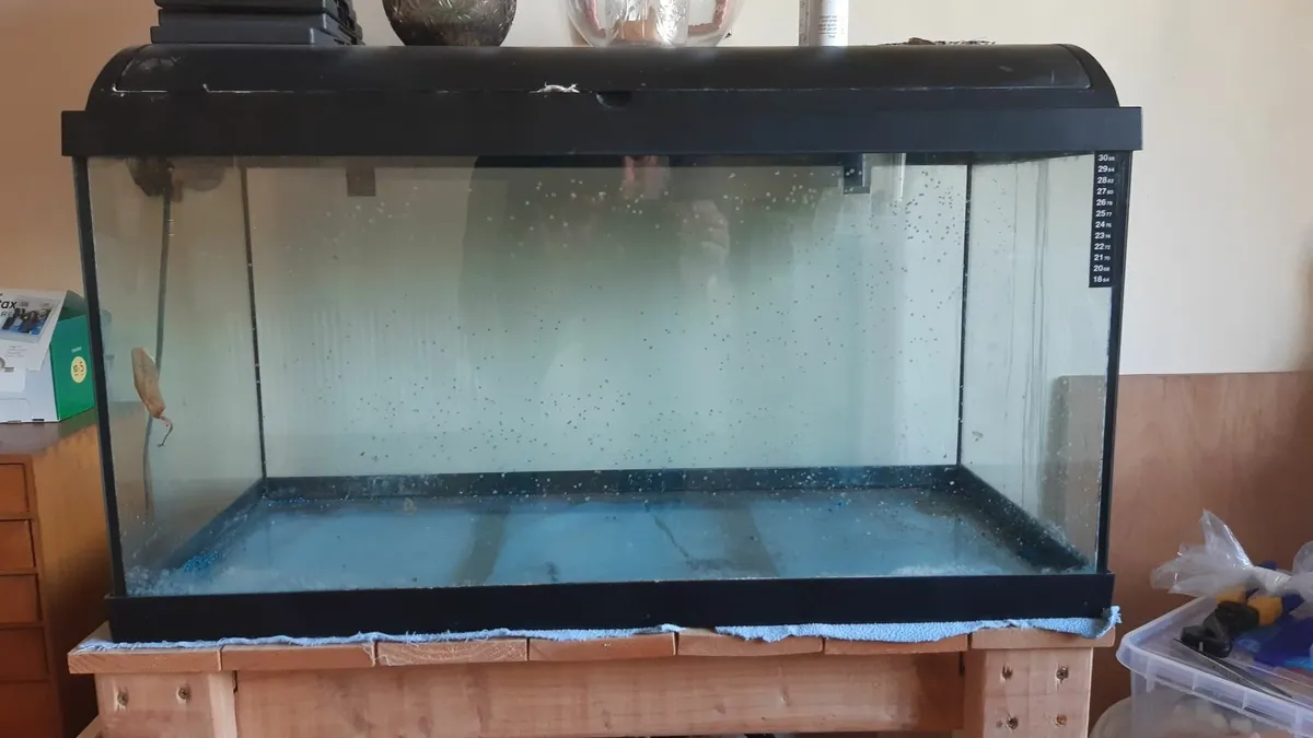 fish tank - Image 2