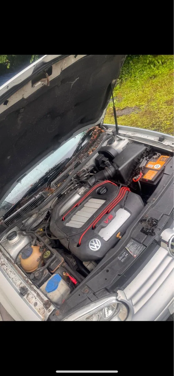 V5 Volkswagen Golf mk4 rare barn find - Image 2
