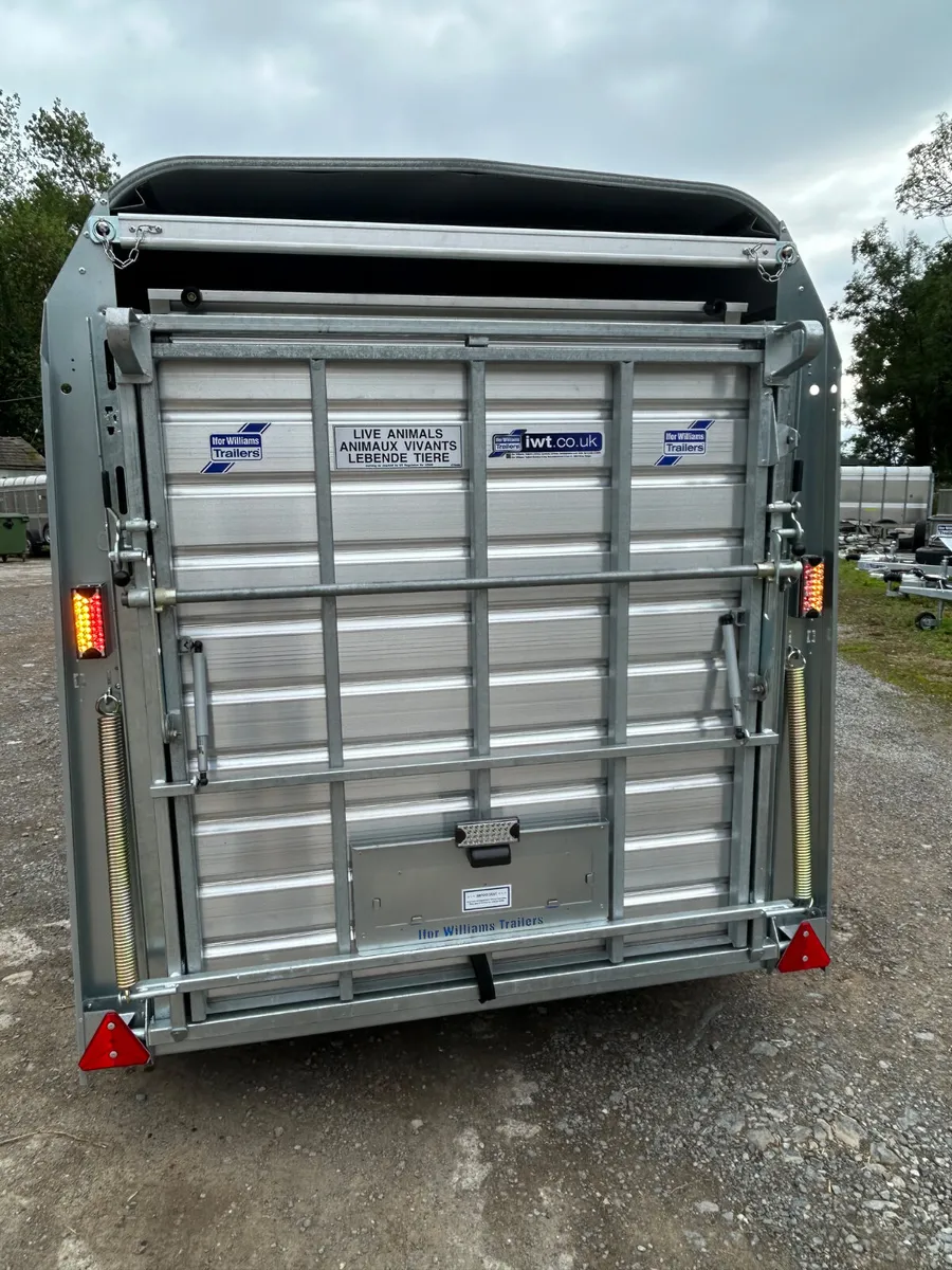 New Ifor Williams 8x5 Livestock with Sheep Decks - Image 3