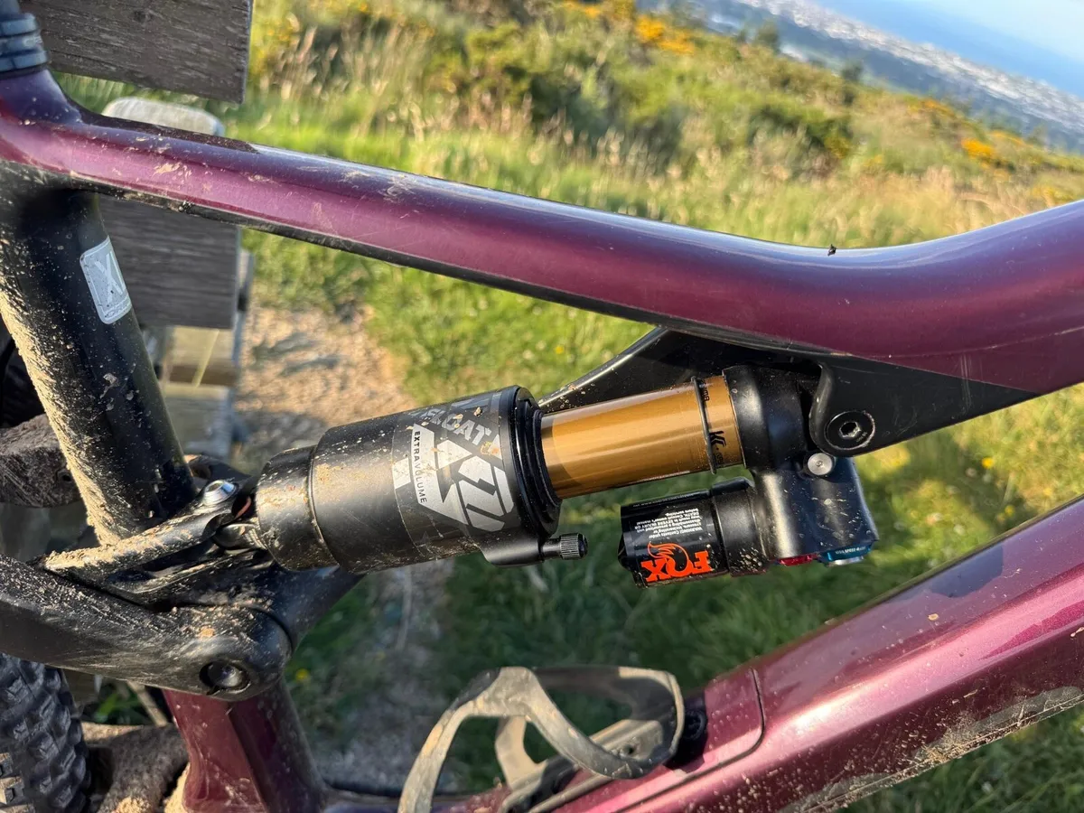 2023 Orbea Rallon XL - Image 2