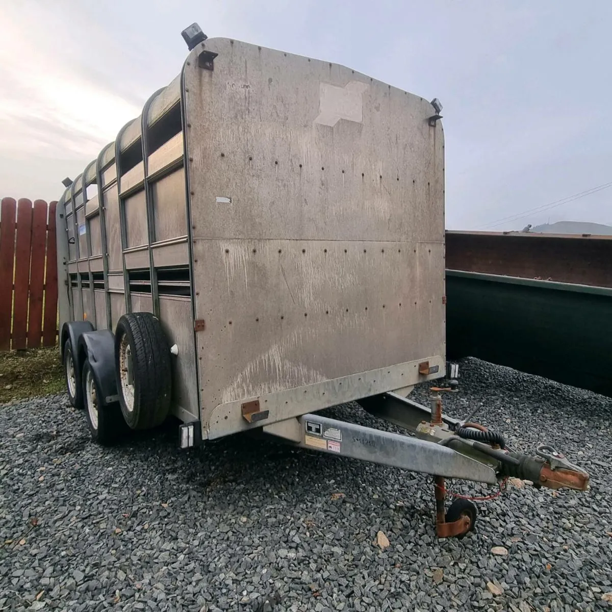 Ifor williams TA105 cattle trailer - Image 1