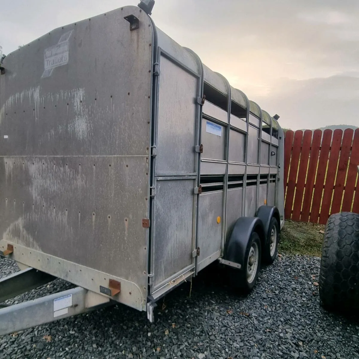 Ifor williams TA105 cattle trailer - Image 2