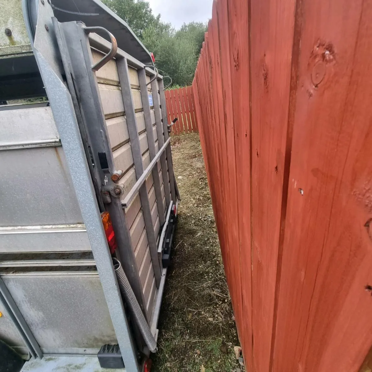 Ifor williams TA105 cattle trailer - Image 4