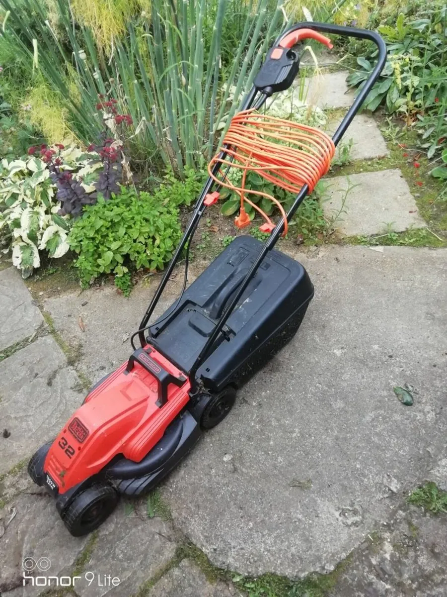 law mower - Image 2