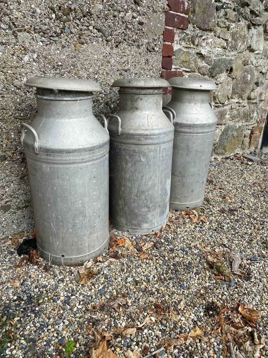 Milk churns - Image 1