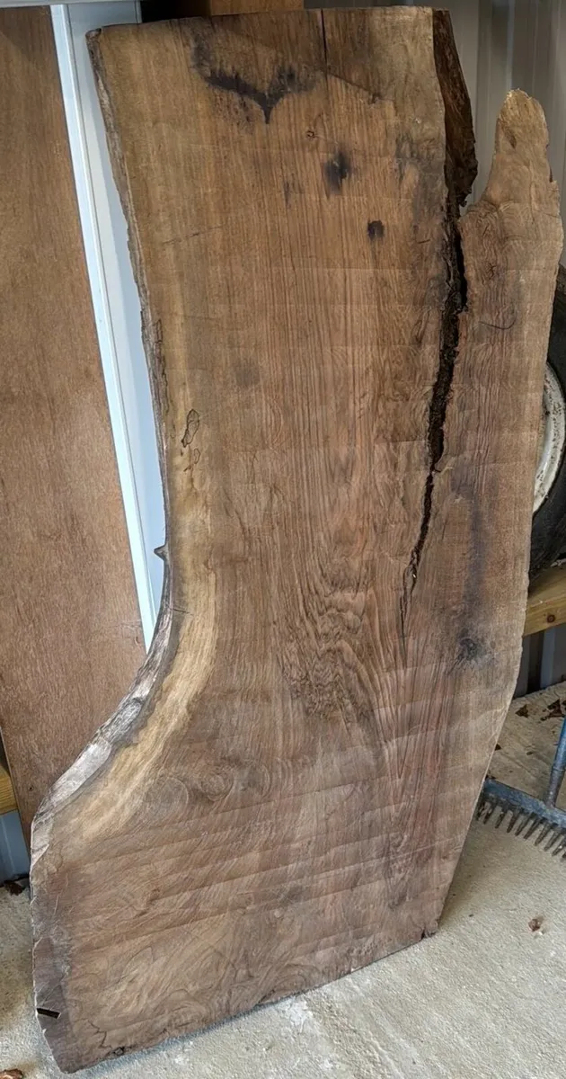 Turkish Olive Wood & Black Walnut slab - Image 4
