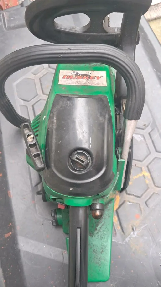 Chainsaw - Image 1