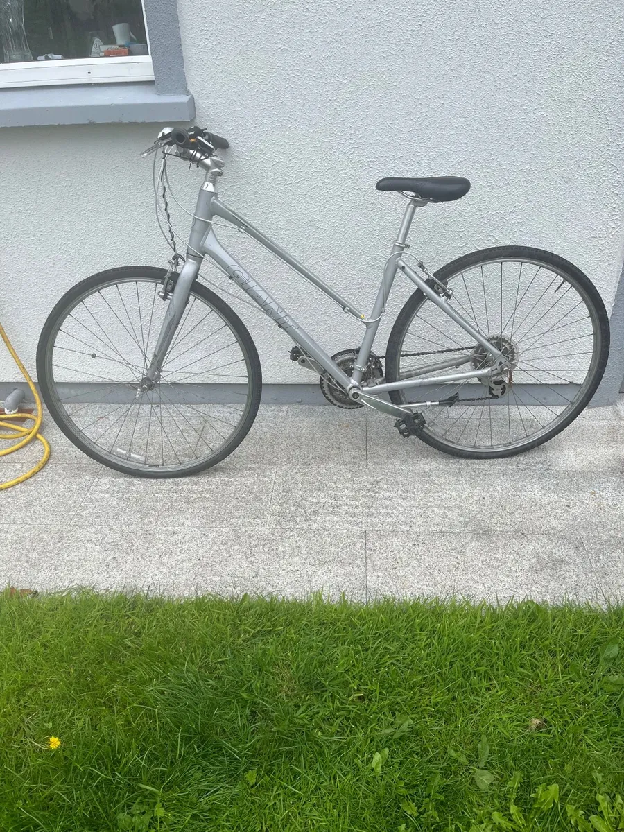 Gannt Ladies Bike - Image 1