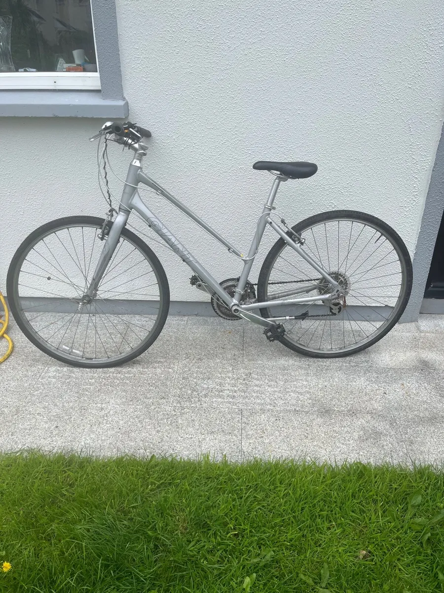 Gannt Ladies Bike - Image 2