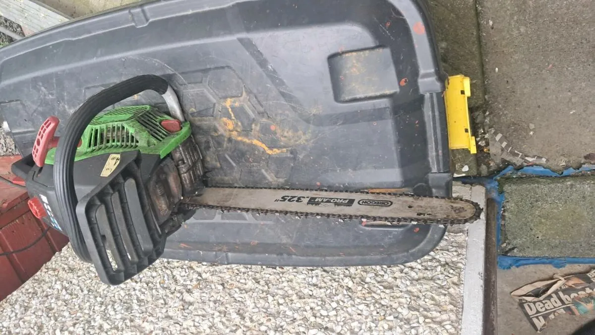 Chainsaw - Image 2