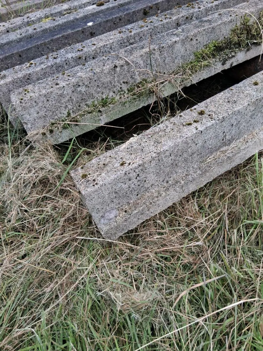 Concrete floor beams - Image 2