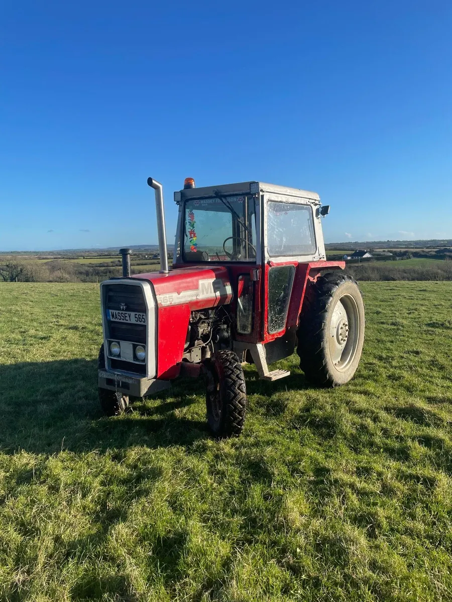 Massey Ferguson 565 - Image 1