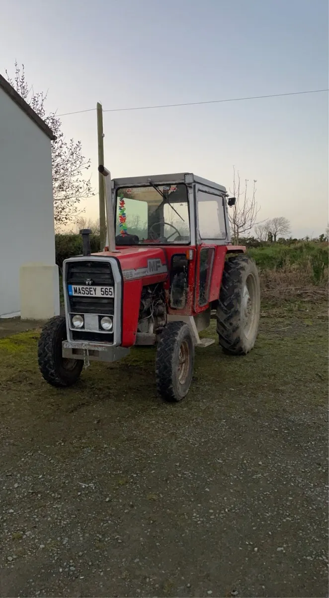 Massey Ferguson 565 - Image 2