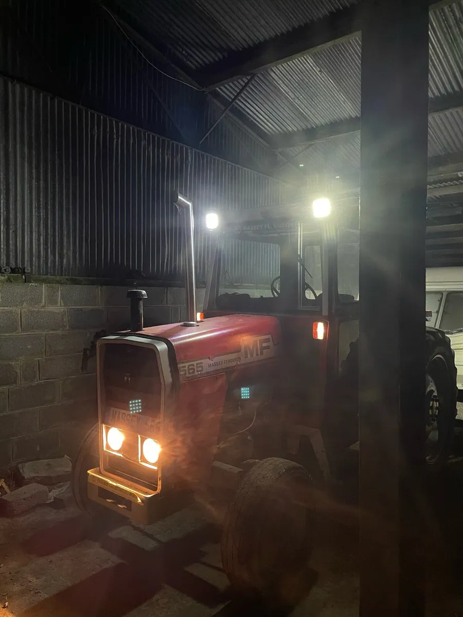 Massey Ferguson 565 - Image 3