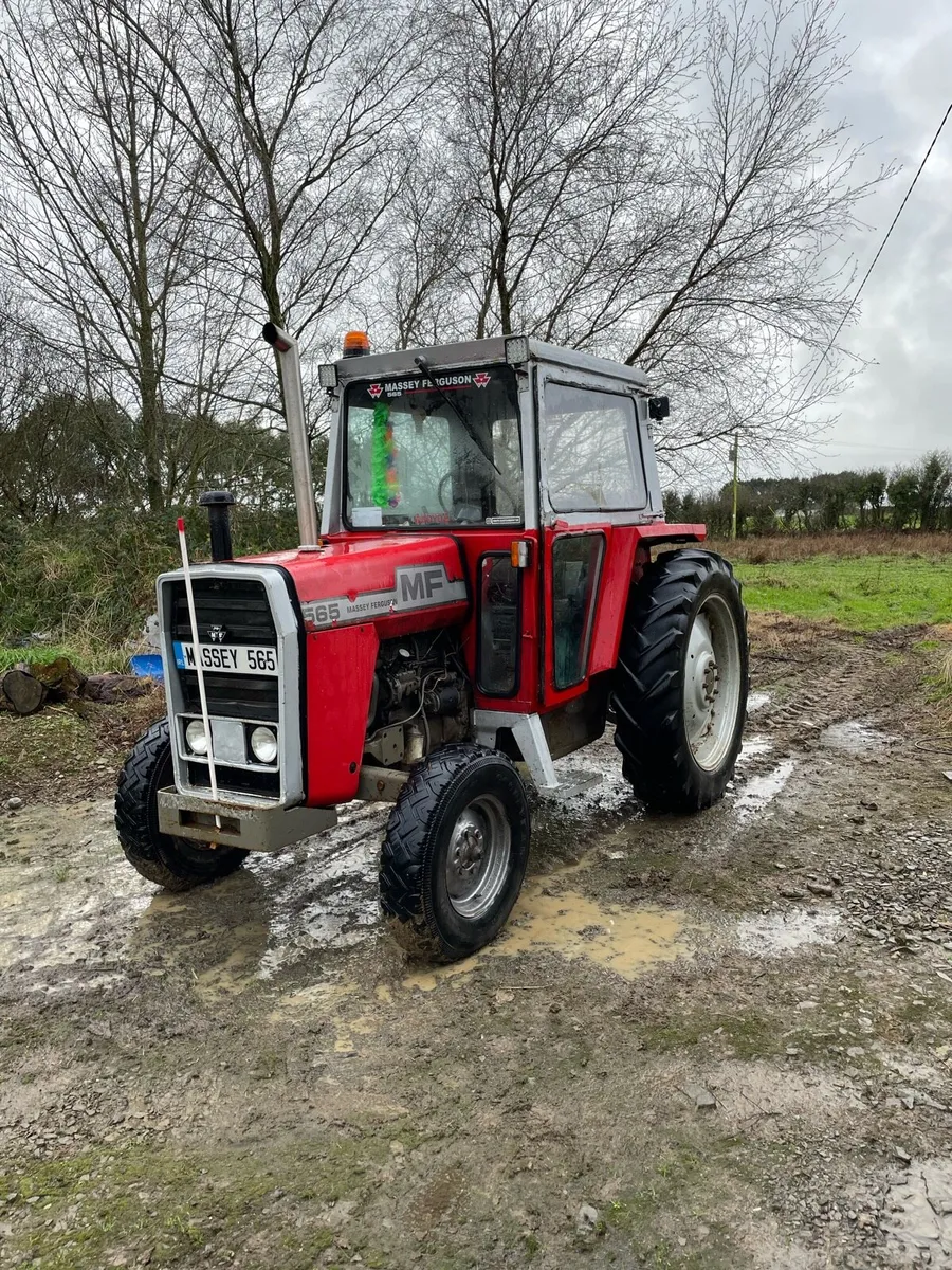 Massey Ferguson 565 - Image 4